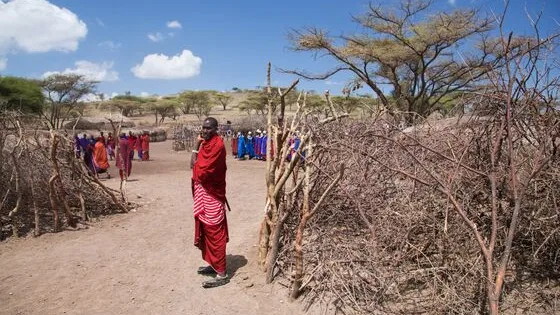 Ngorongoro Crater Day Tour Tanzania Day Trips Tanzania