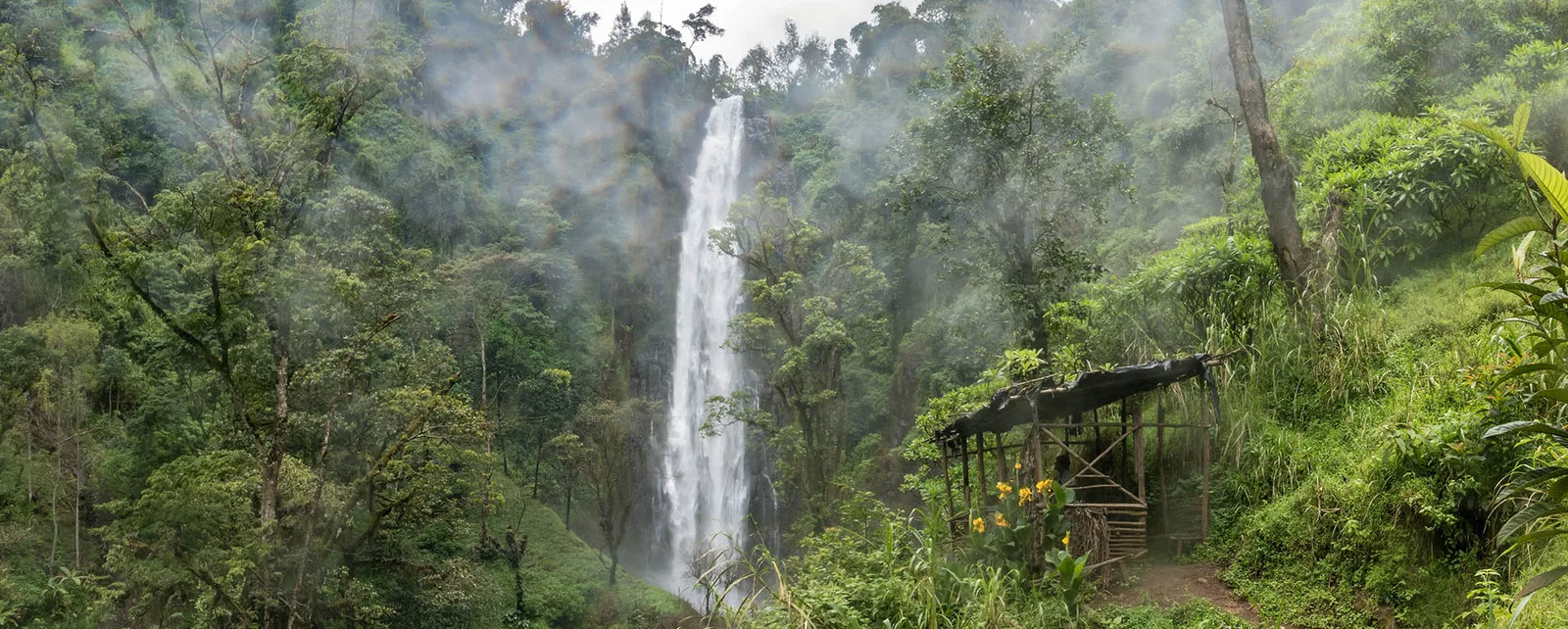 Ngorongoro Crater Day Tour Tanzania Day Trips Tanzania photo 5