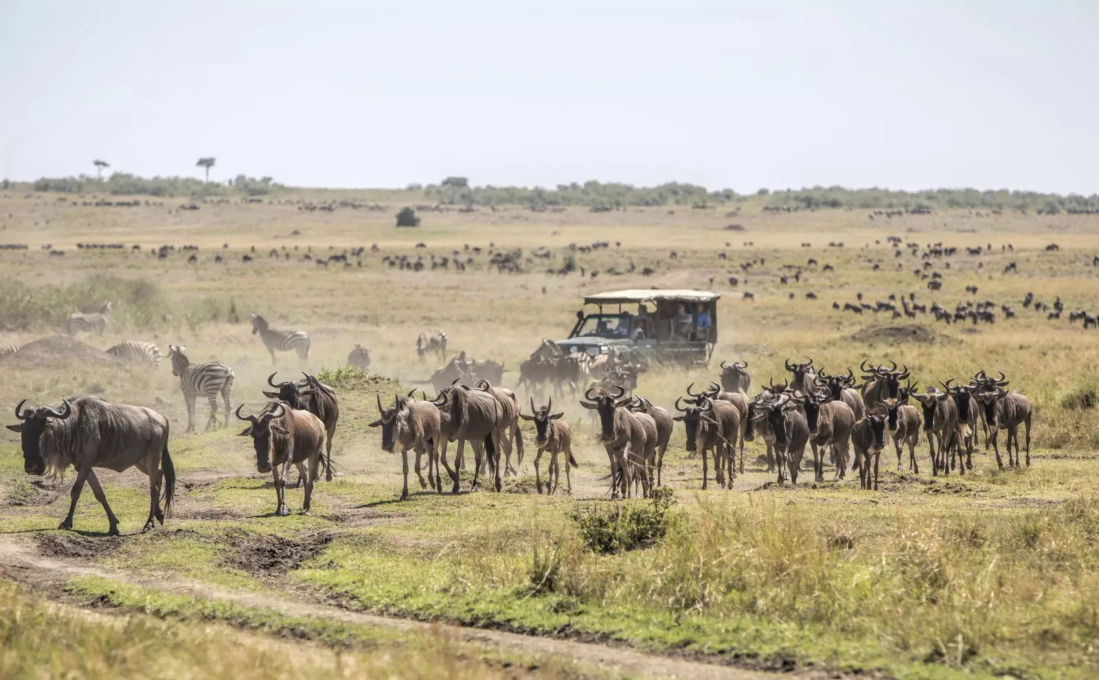 Family Safari Manda Adventures