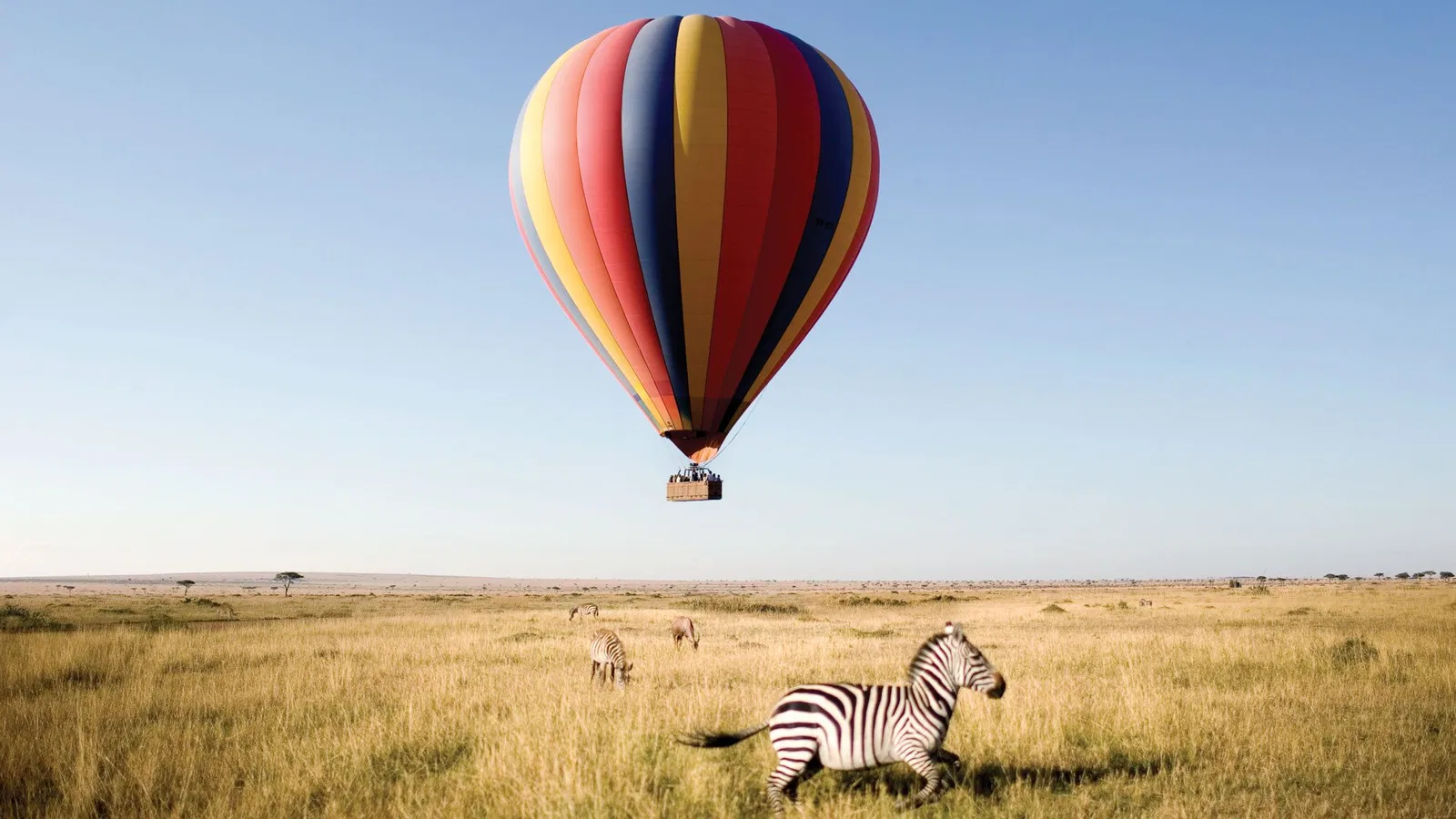 Boutique Lodge Honeymoon Honeymoon Safari Tanzania