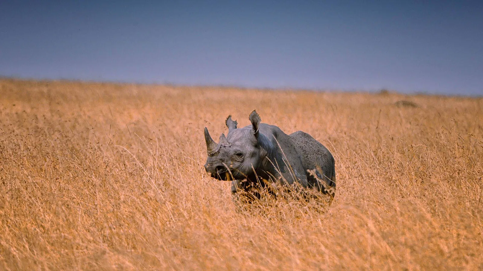 2-Day Group Joining Group Departures Tanzania