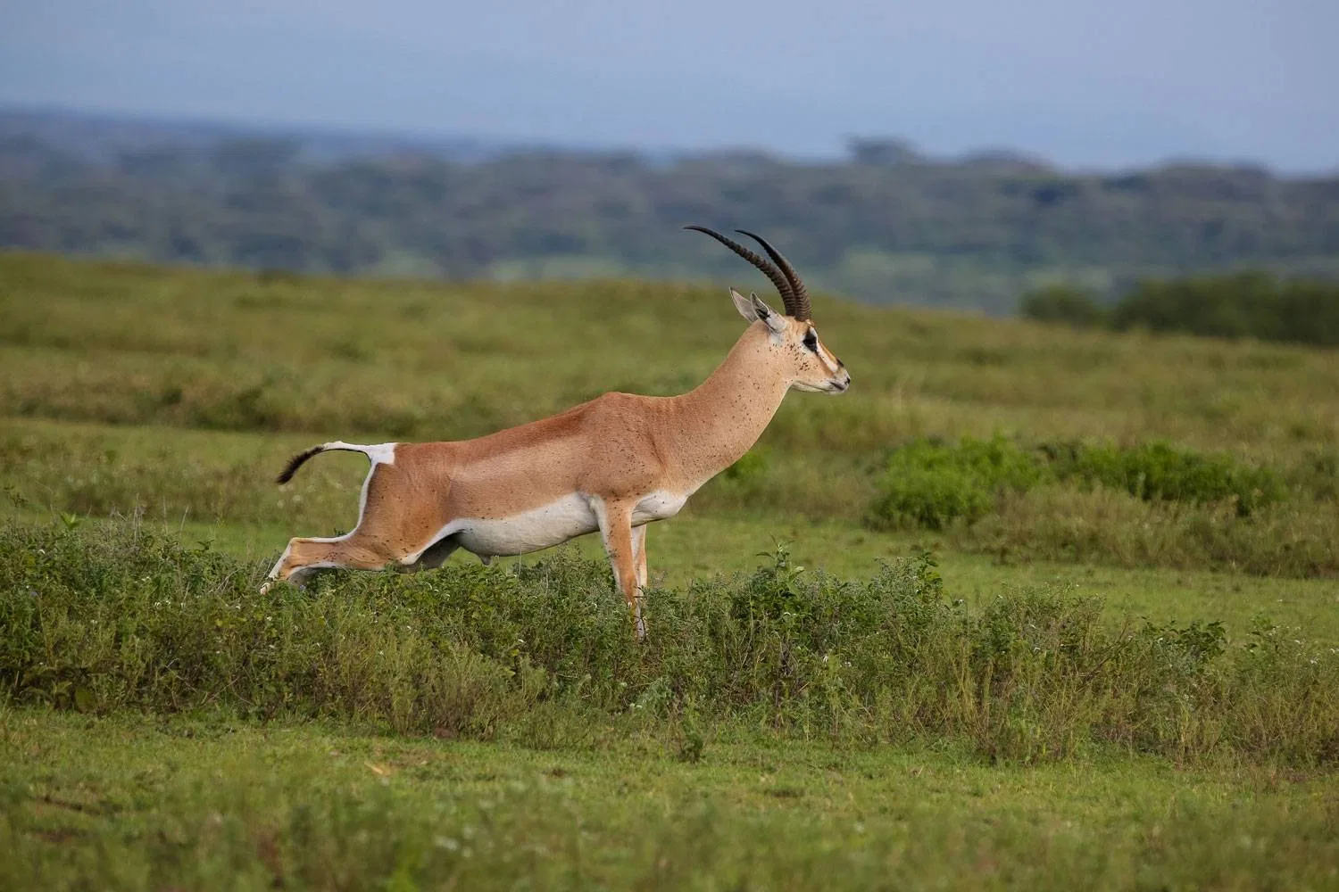 3-Day Group Joining Group Departures Tanzania