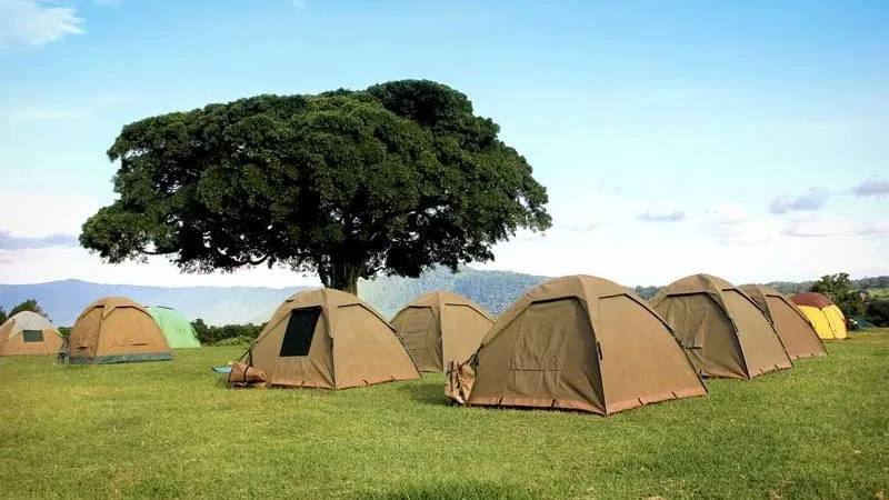 Boutique Lodge Honeymoon Honeymoon Safari Tanzania