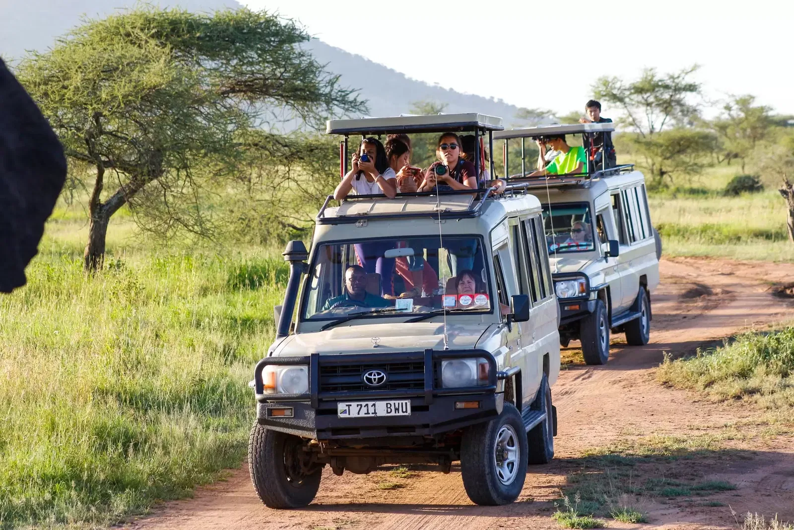 Family Budget Safari Family Safari Tanzania photo 2