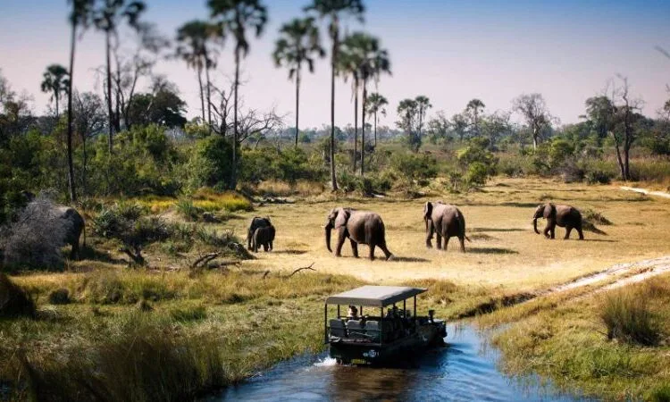 Serengeti Migration & Ngorongoro Great Migration Safari Tanzania