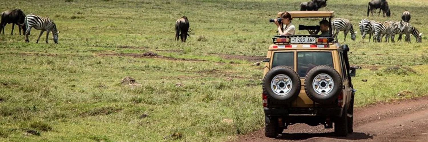Serengeti Migration & Tarangire Great Migration Safari Tanzania