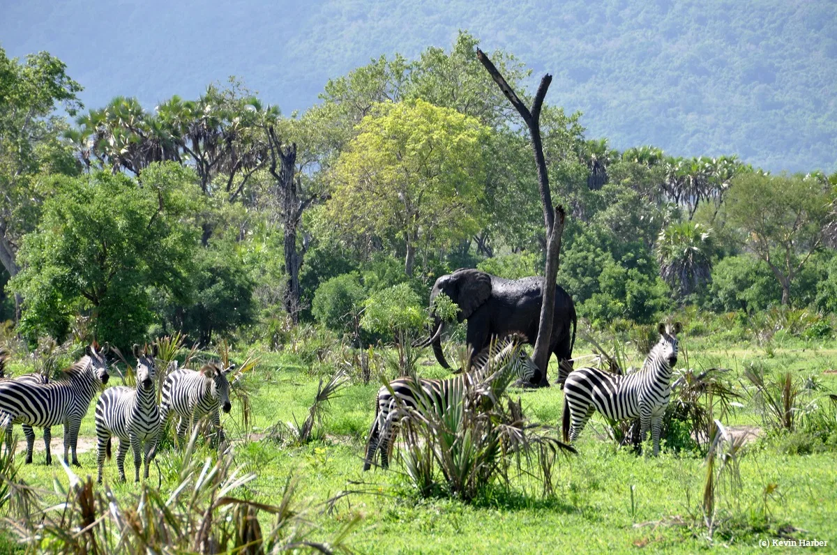 3-Day Group Joining Group Departures Tanzania